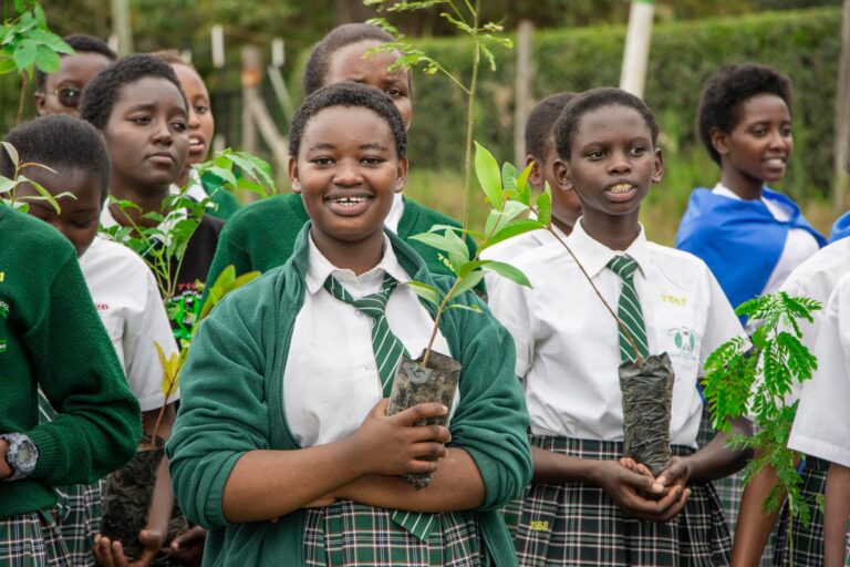  Environmental Conservation 